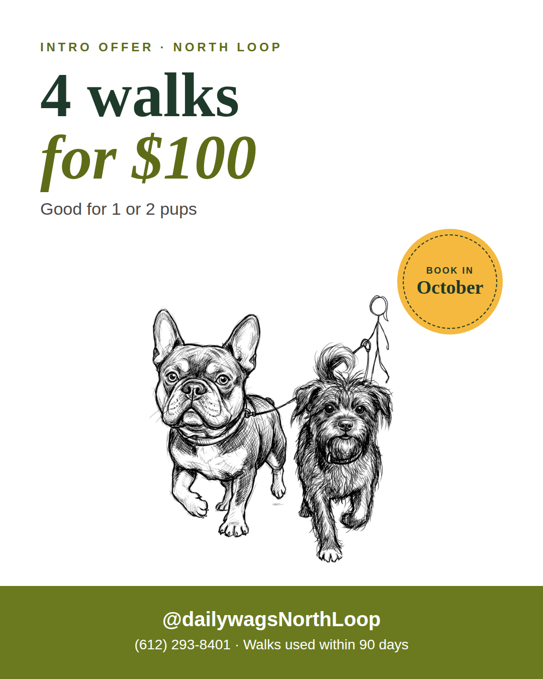 daily-wags-intro-offer-instagram.png